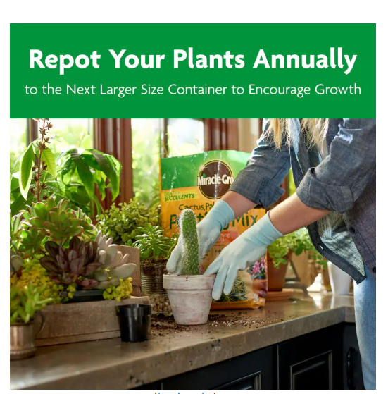 Miracle-Gro Cactus, Palm and Citrus Potting Mix 8 qt.