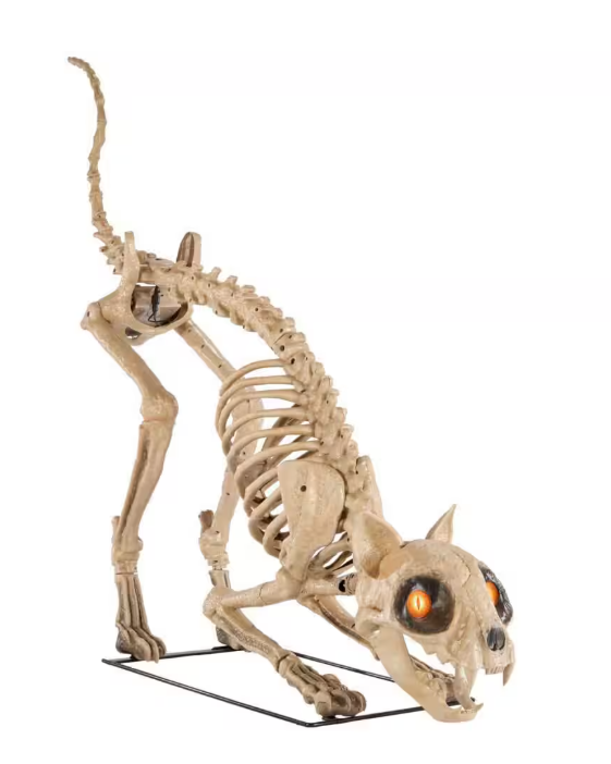 Long Grave & Bones 5 ft. LED Skelly's Cat H21