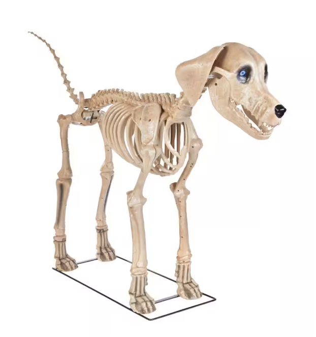 Long Grave & Bones 7 ft. Skelly's Dog with LifeEyes LCD Eyes