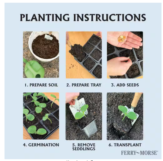 Ferry-Morse 18 Pot Seed Starting Tray
