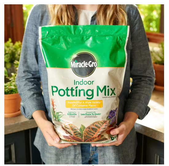 Miracle-Gro Indoor Potting Mix 6 qt. Blended for a Wide Variety of Houseplants, Feeds up to 6 Months