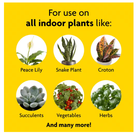 Miracle-Gro Liquid Fertilizer Indoor Plant Food 8 oz. thumbnail 2