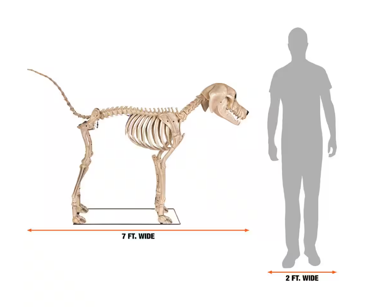 Long Grave & Bones 7 ft. Skelly's Dog with LifeEyes LCD Eyes