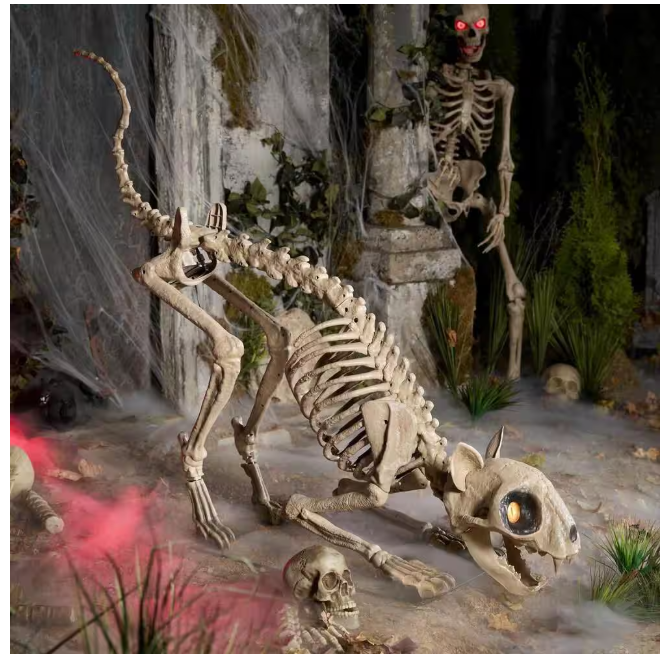 Long Grave & Bones 5 ft. LED Skelly's Cat H21