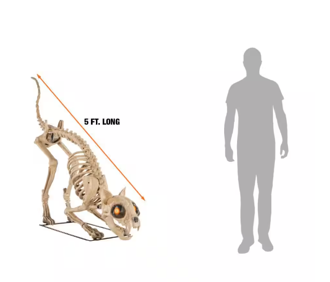 Long Grave & Bones 5 ft. LED Skelly's Cat H21