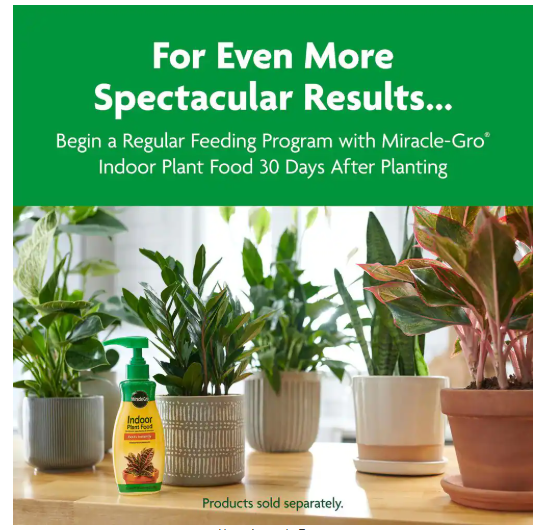 Miracle-Gro Indoor Potting Mix 6 qt. Blended for a Wide Variety of Houseplants, Feeds up to 6 Months
