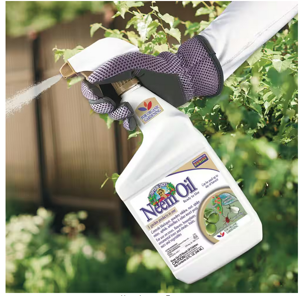 Bonide Captain Jack's Neem Oil, Multi-Purpose Fungicide, Insecticide and Miticide 32.oz