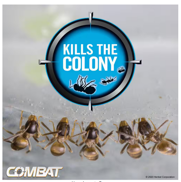 COMBAT Source Kill 0.95 oz. Ant Gel 2-PK