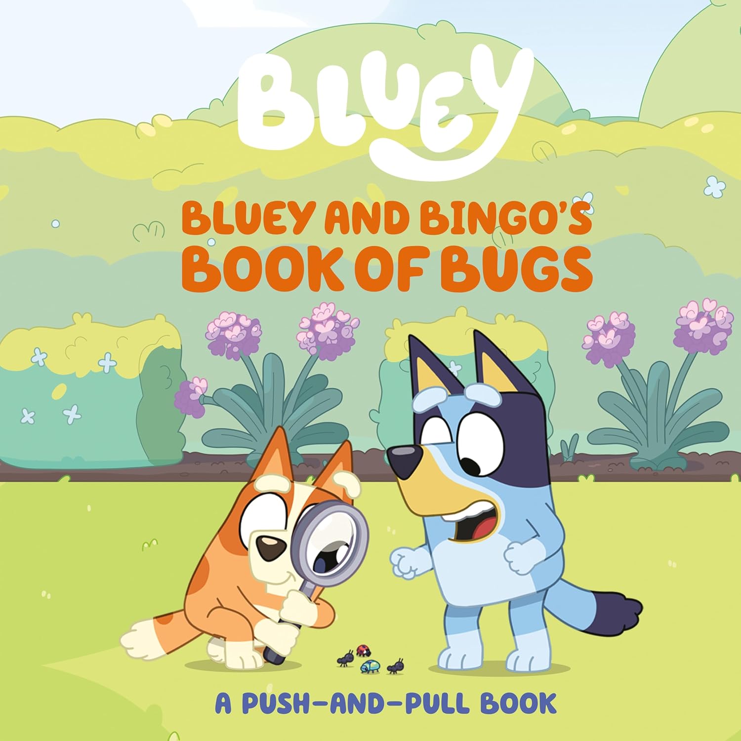 Wizo | Bluey and Bingos Book of Bugs Board Book